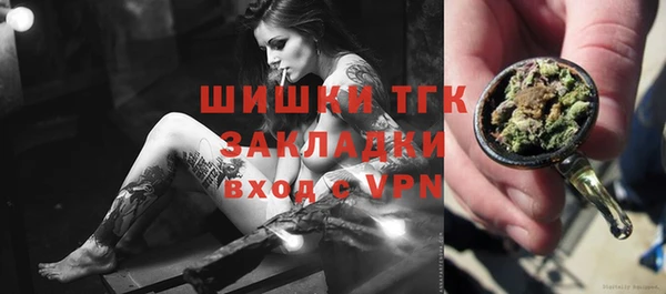 ПСИЛОЦИБИНОВЫЕ ГРИБЫ Арсеньев