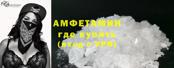 ПСИЛОЦИБИНОВЫЕ ГРИБЫ Арсеньев