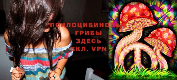 Альфа ПВП Армянск