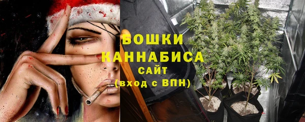 ПСИЛОЦИБИНОВЫЕ ГРИБЫ Арсеньев