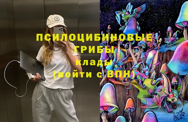 Альфа ПВП Армянск