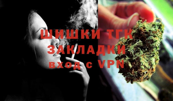 ПСИЛОЦИБИНОВЫЕ ГРИБЫ Арсеньев