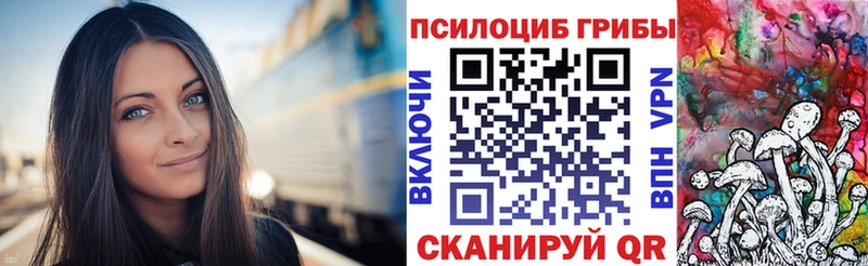 где купить наркоту  Суджа  Галлюциногенные грибы прущие грибы 